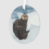 Resting Zee Otter Ornament (voorkant)