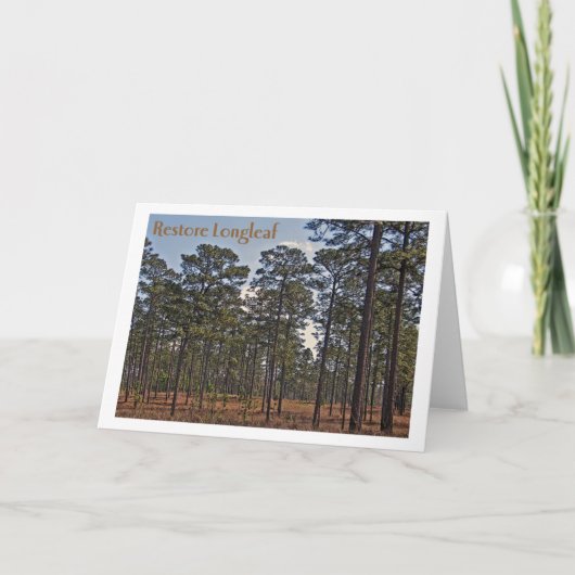 Restore Longleaf Kaart (Voorkant)