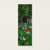 Resurgir les Signets (Dos)