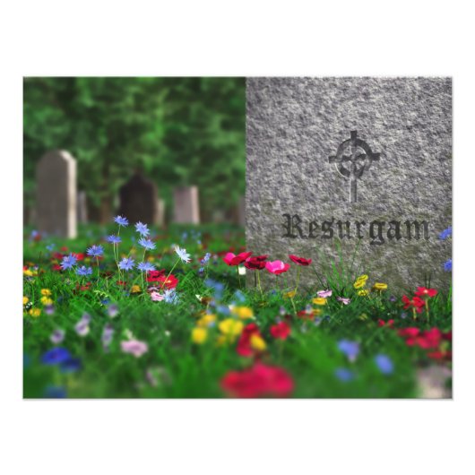 Resurgir l'impression photo (Devant)