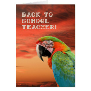 Retour à l'école carte d'enseignant avec perroquet