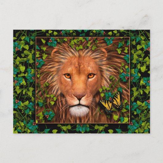 Retour de la carte postale du roi (Devant)