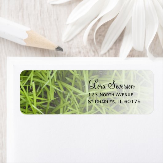 Retouradres groen gras etiket (Insitu)