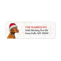 Retouradres met Kerstmuts Vizsla-hond