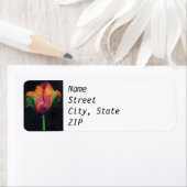 Retouradreslabel - Rainbow Parrot Tulip Etiket (Insitu)
