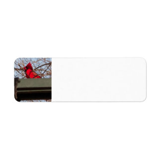 retouradreslabels Cardina; Etiket