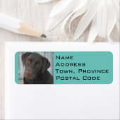 Retouradreslabels - Chocolate Lab Etiket (Insitu)