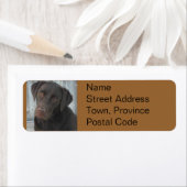Retouradreslabels - Chocolate Lab Etiket (Insitu)