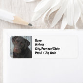 Retouradreslabels - Cute Chocolate Lab Dog Etiket (Insitu)