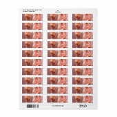 Retouradreslabels Etiket (Full Sheet)