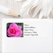 Retouradreslabels - Roze Rose Etiket (Insitu)