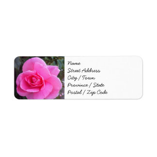 Retouradreslabels - Roze Rose Etiket