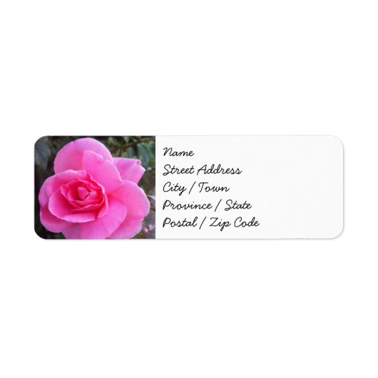 Retouradreslabels - Roze Rose Etiket (Voorkant)