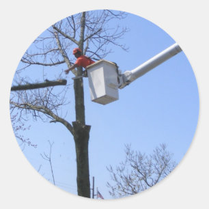 Retrait de l'arbre ~ autocollant