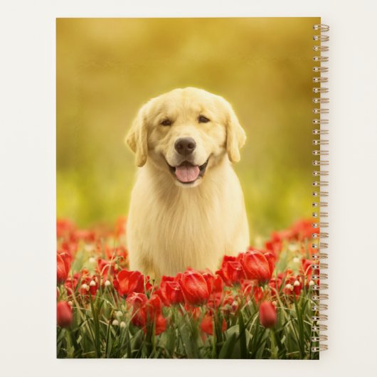 Retraite d'or en fleurs rouges (Dos)