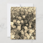 Retreat invitation (Achterkant)