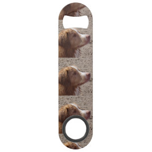 Retriever de Nouvelle-Écosse à museau tolling