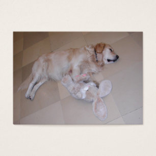 Retriever dormant mignon avec lapin de jouet