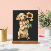 Retriever du Labrador (Mariage)