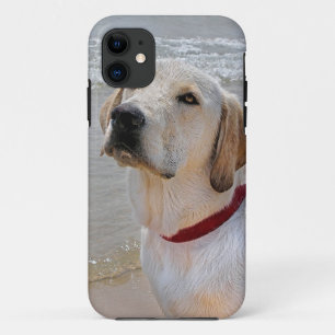 Retriever Eyes iPhone 11 Hoesje