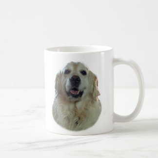 Retriever Mok