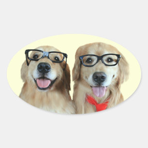 Retriever Or Avec Stickers Lunettes Nerd