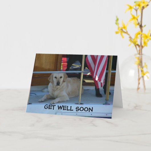 RETRIEVER ZEGT DAT ZE GOED KUNNEN KRIJGEN OP 'GELI KAART (Gele Bloem)