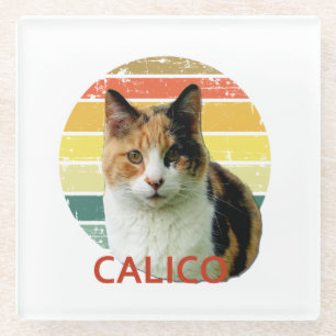 Retro 1980 Faded Sunset Calico Moggy Cat Art Glazen Onderzetter