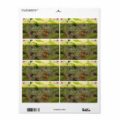 Retro Abstracte Floral Collage Etiket (Full Sheet)