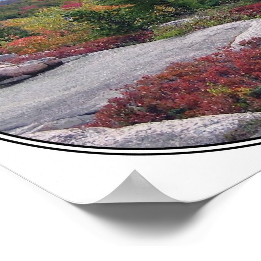 Retro  Acadia National Park Maine Island Poster (Hoek)