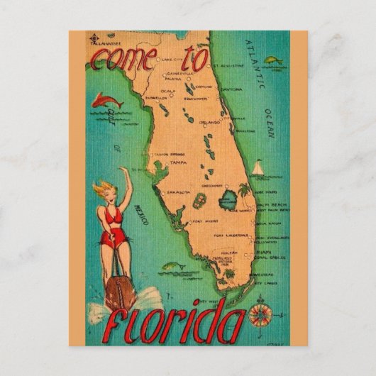 Retro ansichtkaart van Florida  Briefkaart (Voorkant)