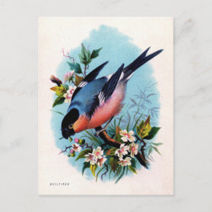 Retro Bird op Branch Briefkaart