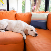 Retro blauw en perzik gestreept kussen