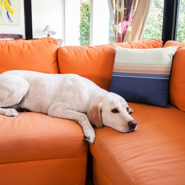 Retro blauw en perzik gestreept kussen (Retro striped pillow is perfect for humans and doggos!)