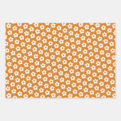 Retro Bloemen Schattigee Cartoon Daisy Pattern Inpakpapier Vel (Voorkant 2)