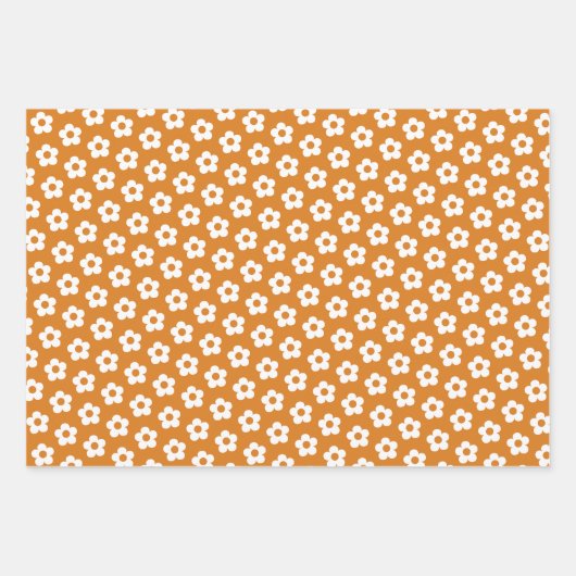 Retro Bloemen Schattigee Cartoon Daisy Pattern Inpakpapier Vel (Voorkant 2)