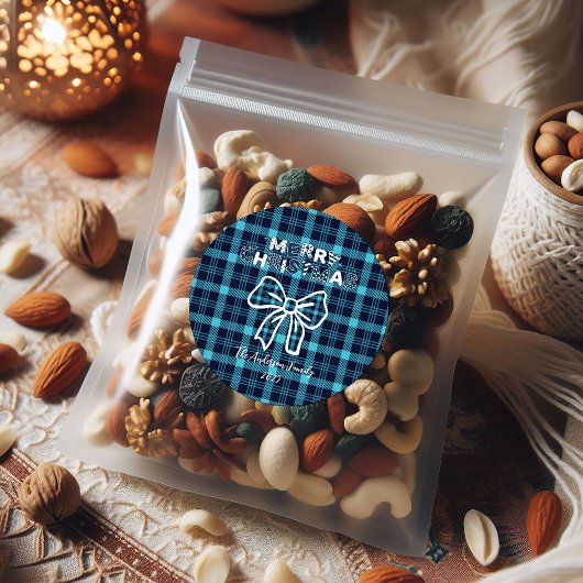 Retro Blue Plaid Whimsical Christmas Ronde Sticker