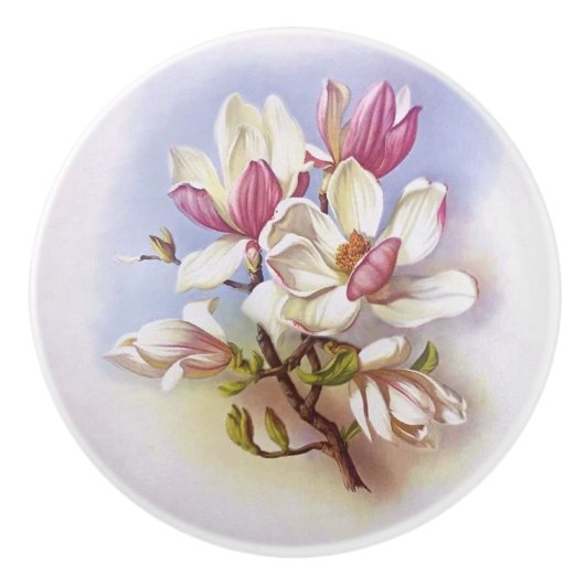 Rétro bouton de traction de tiroir d'impression (Devant)