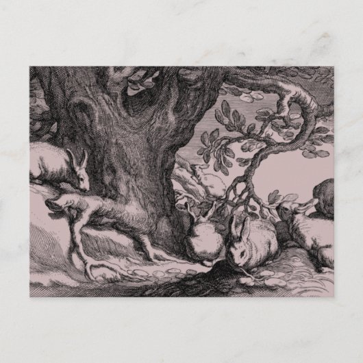 Retro  Bunny Rabbits Briefkaart (Voorkant)