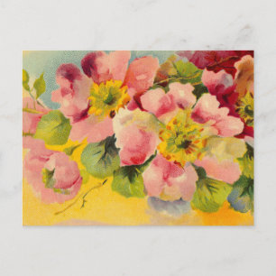 Retro Chic Elegant Roze Bloemen Primroses Briefkaart