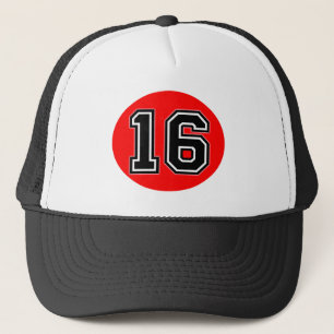Retro Classic 16th Birthday Party Trucker Hat Trucker Pet