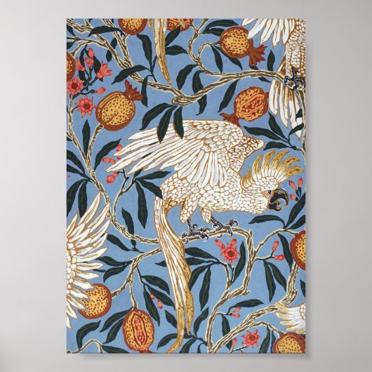 Retro Cockatau en Pomegranate Pattern Poster (Voorkant)