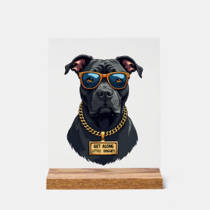 Retro Cool Pitbull in Zonnebril met Gouden Ketting Acryl Bord
