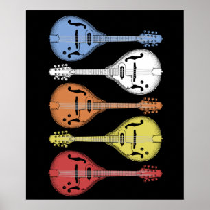 Retro Country Music Mandolin  Bluegrass Poster