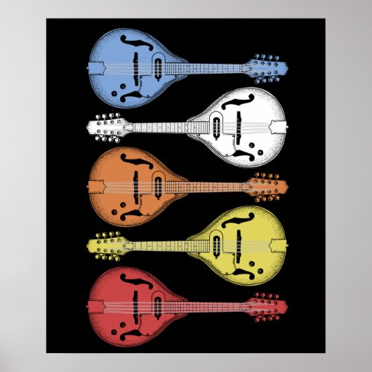 Retro Country Music Mandolin  Bluegrass Poster (Voorkant)