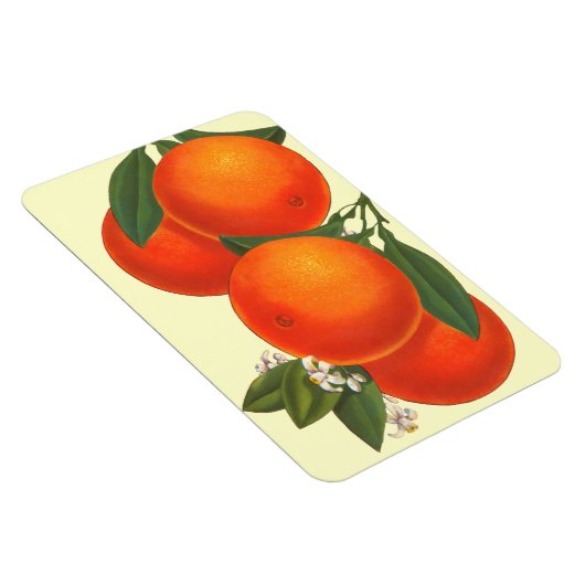 Retro Crate Art Sinaasappels magneet (Rechterzijde)