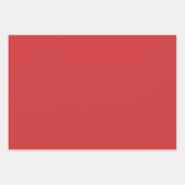 Retro Daisies Floral Pattern Red en Cream Inpakpapier Vel (Voorkant 2)