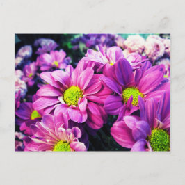 Retro Daisies I Briefkaart
