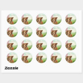  Retro Easter Bunny Ronde Sticker (Vel)