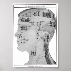 Retro educatief poster